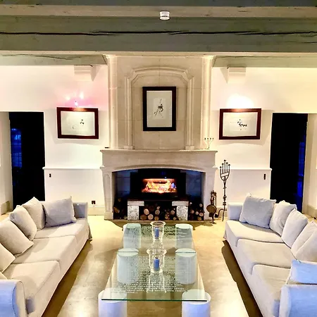 Villa Mas Des Becasses, En Provence - 22 Personnes Arles